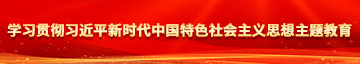 干美女B学习贯彻习近平新时代中国特色社会主义思想主题教育