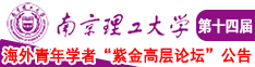 色色小说游泳插入穴南京理工大学第十四届海外青年学者紫金论坛诚邀海内外英才！